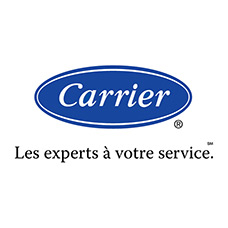 logo carrier